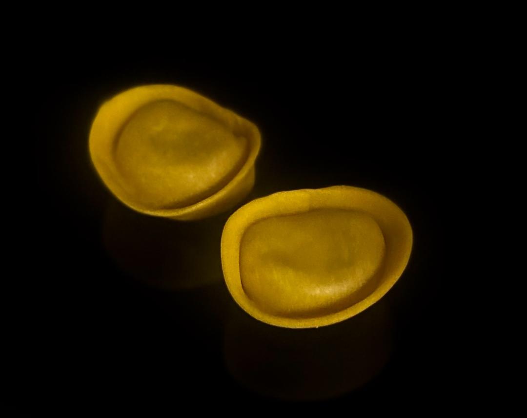 Duck and Foie Gras Cappelletti