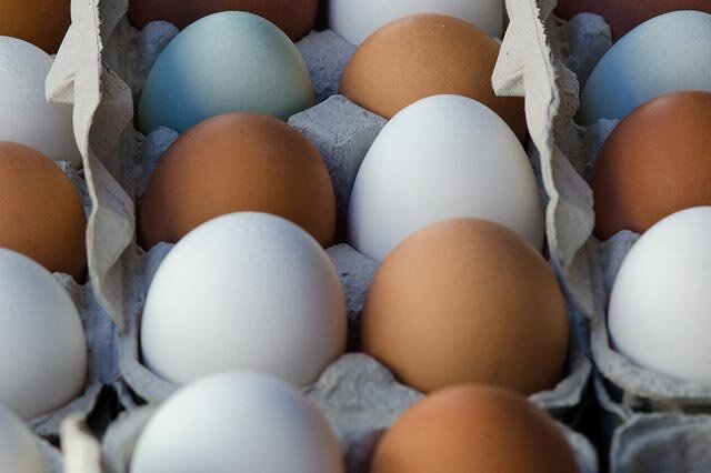 Farm Fresh Eggs