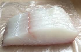 Halibut